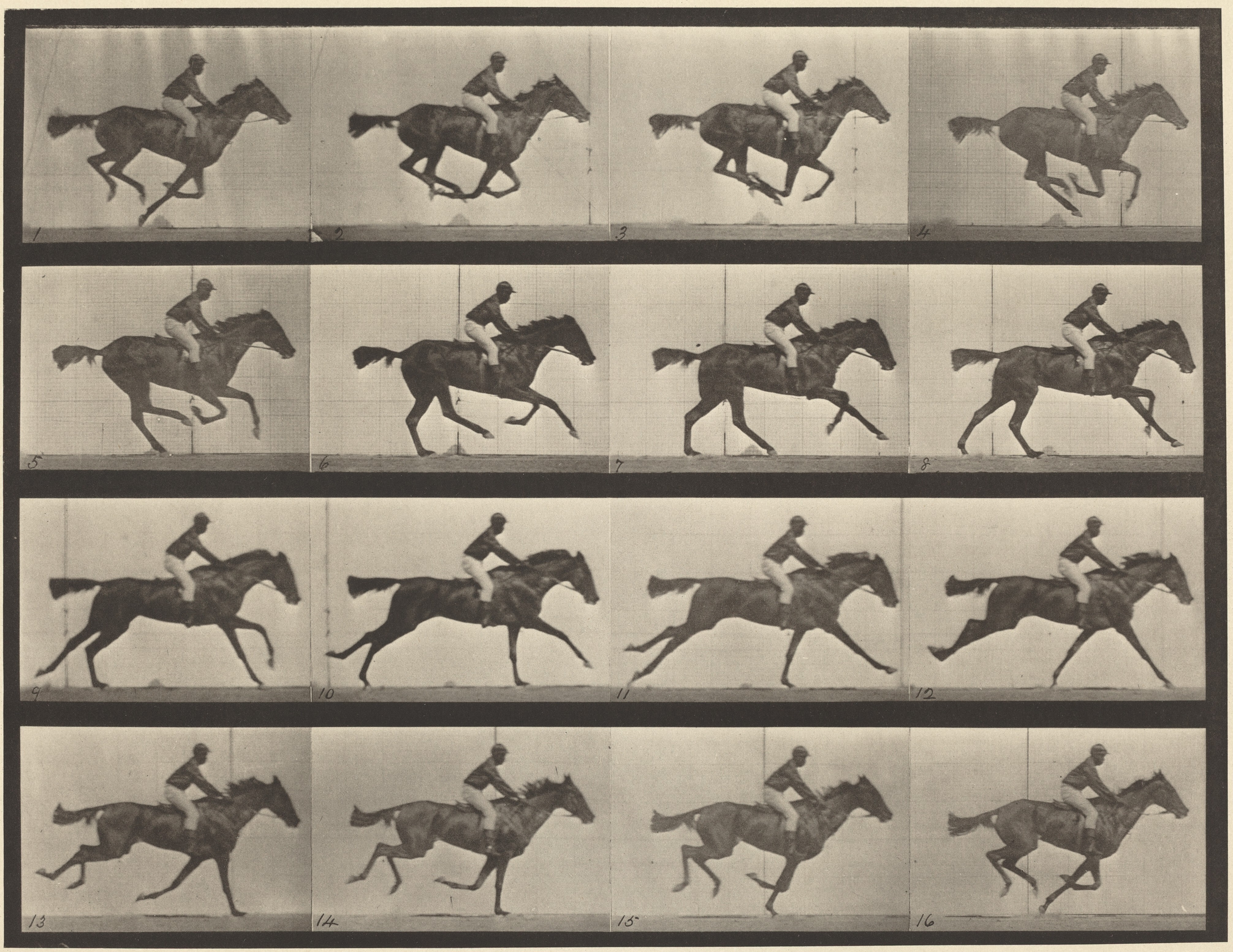 Muybridge