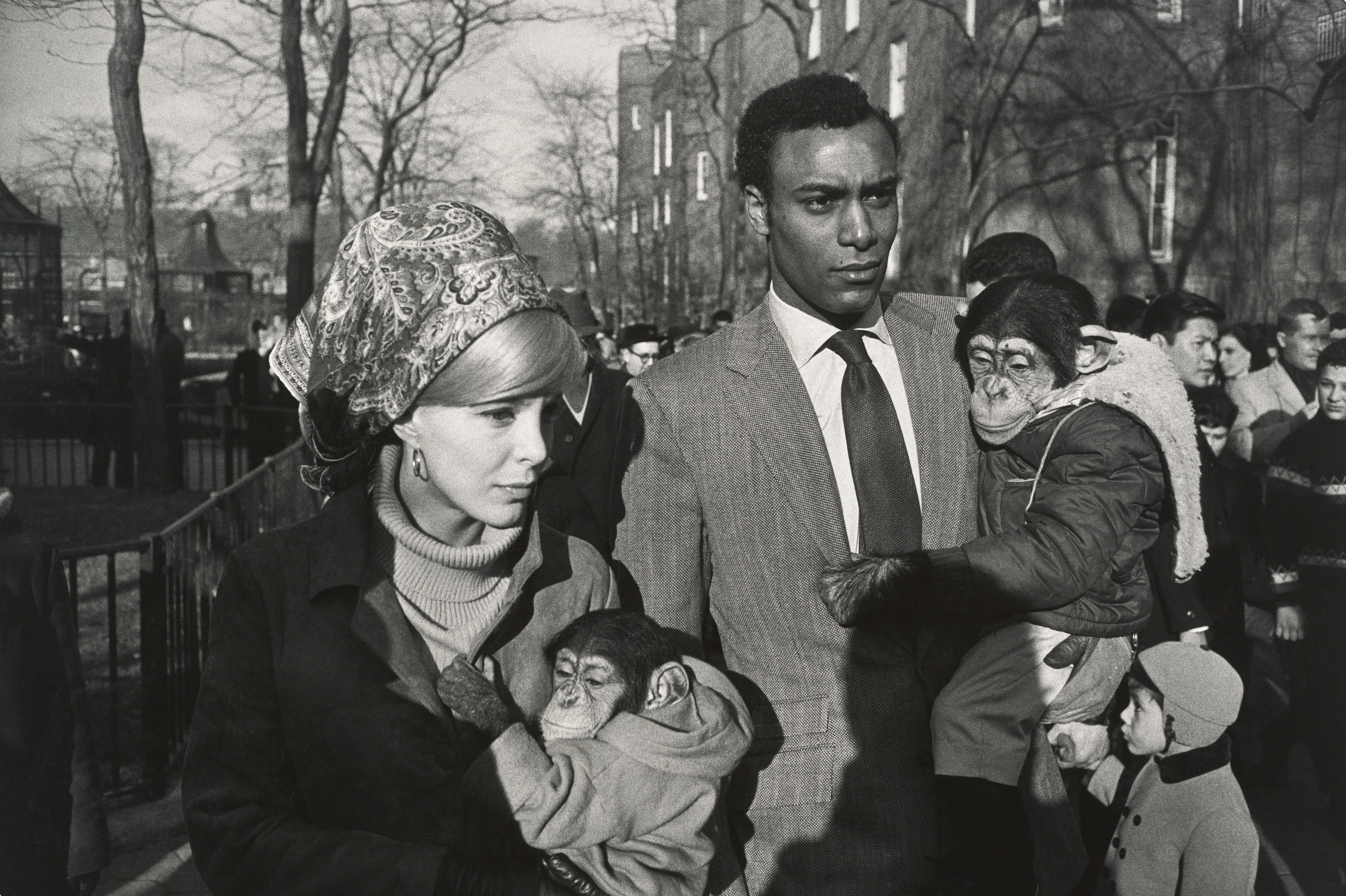 Winogrand