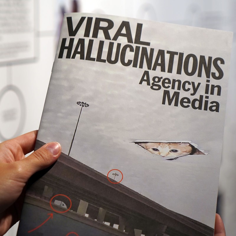 Viral Hallucinations Booklet