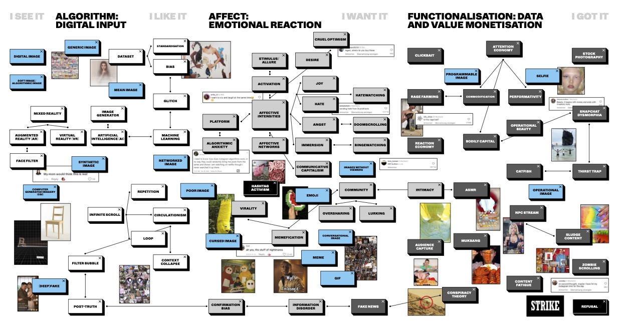 The Lure of the Image