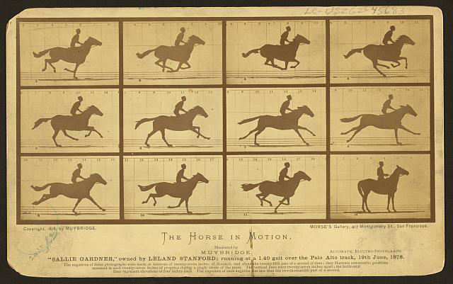Muybridge