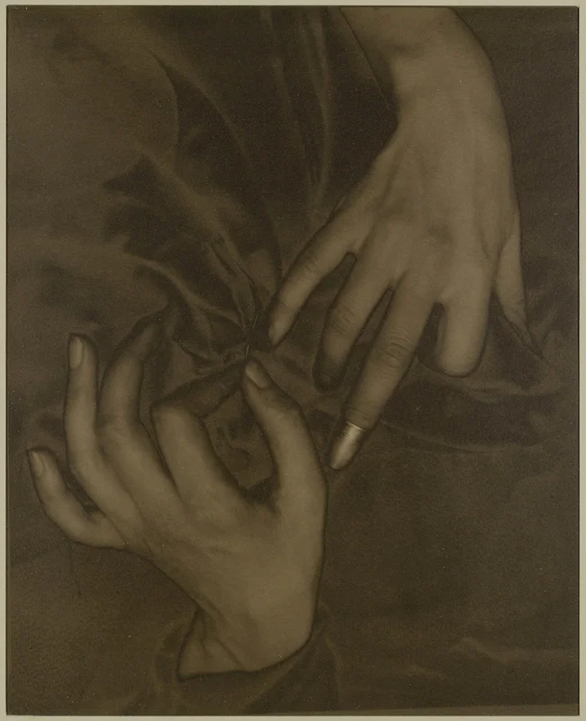 Stieglitz