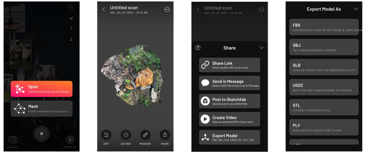 From scanning to exporting your model